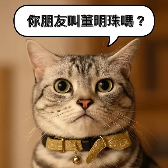 「你們太貴了,我朋友說十幾萬就能做」…你朋友叫董明珠?那你怎麼不請他做?|大貓設計師真心話 #3
